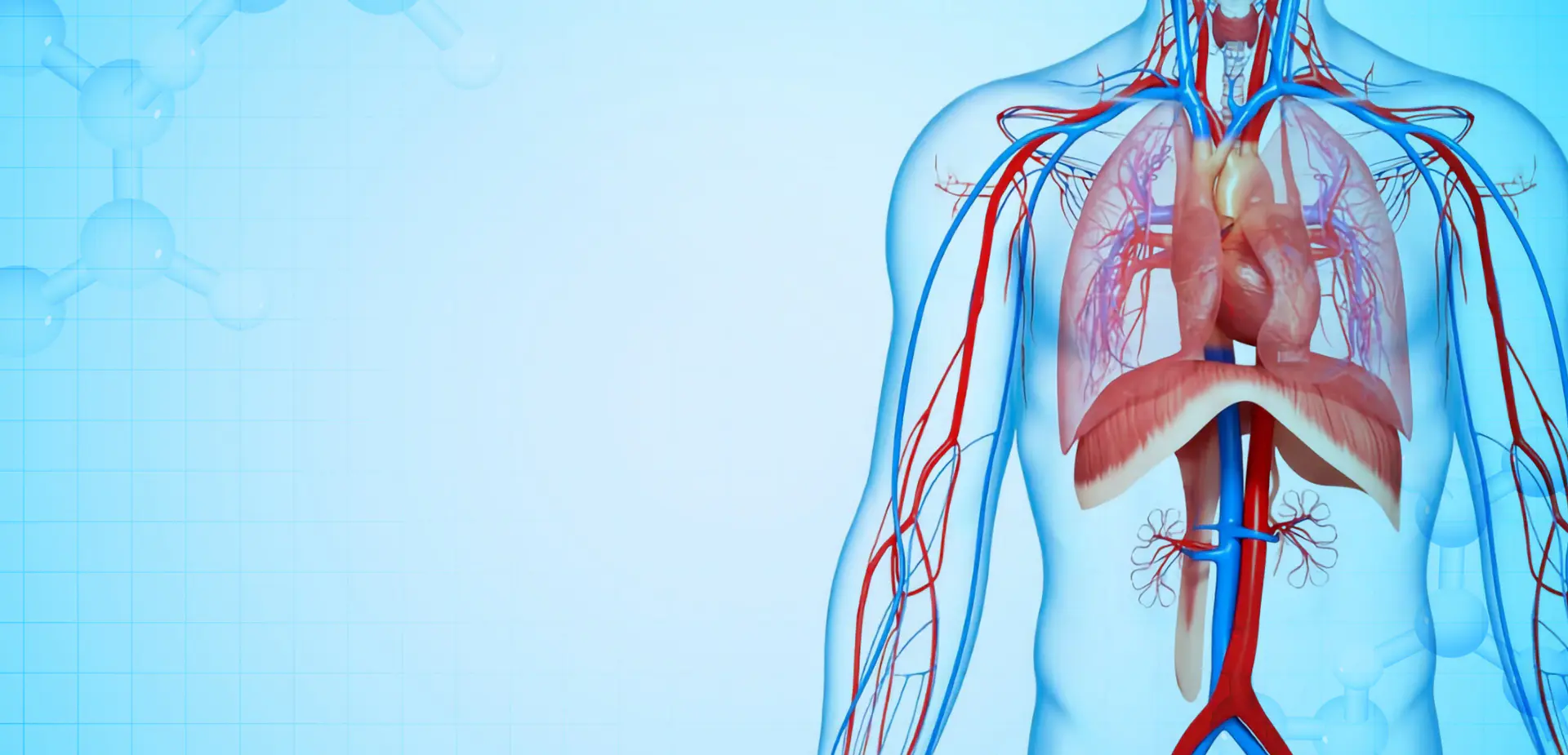 Ningbo Linstant Polymer Materials Co,. LTD.