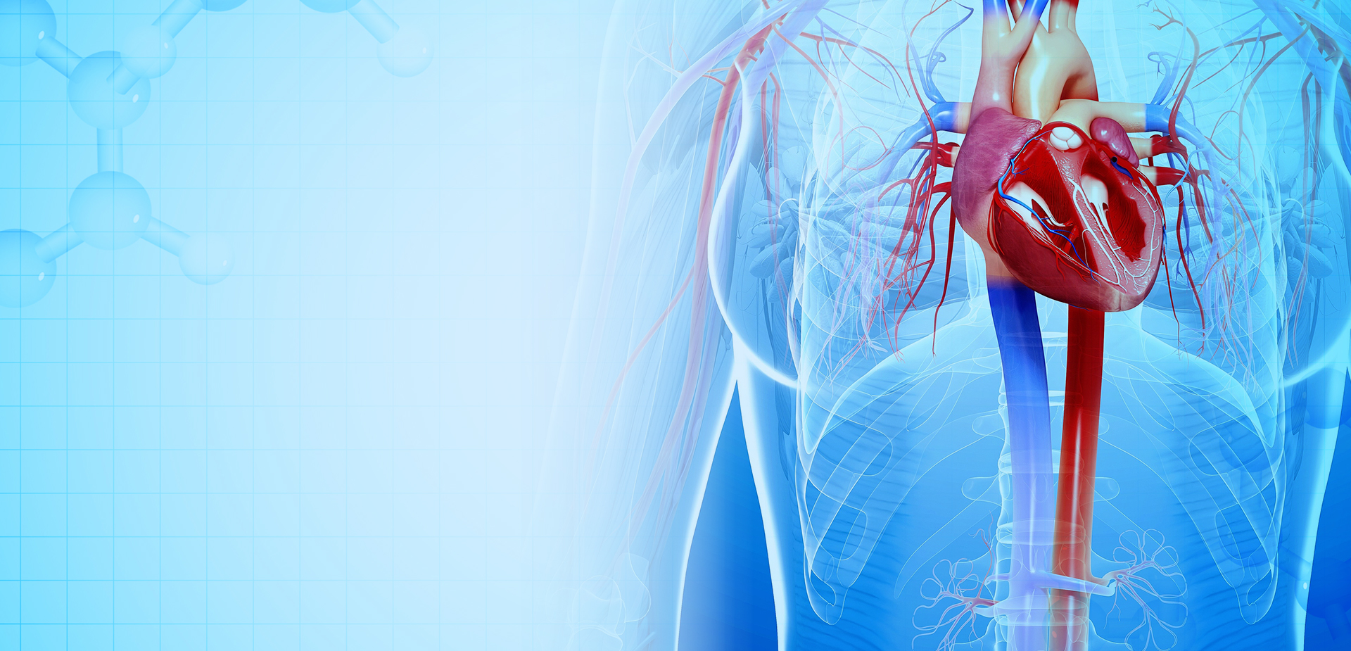 Ningbo Linstant Polymer Materials Co,. LTD.