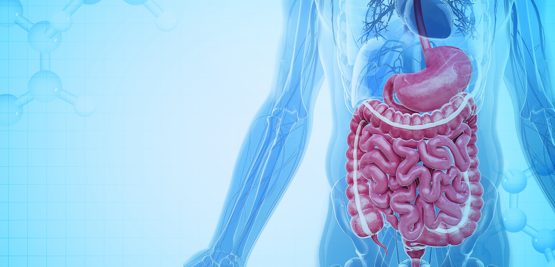 Ningbo Linstant Polymer Materials Co,. LTD.