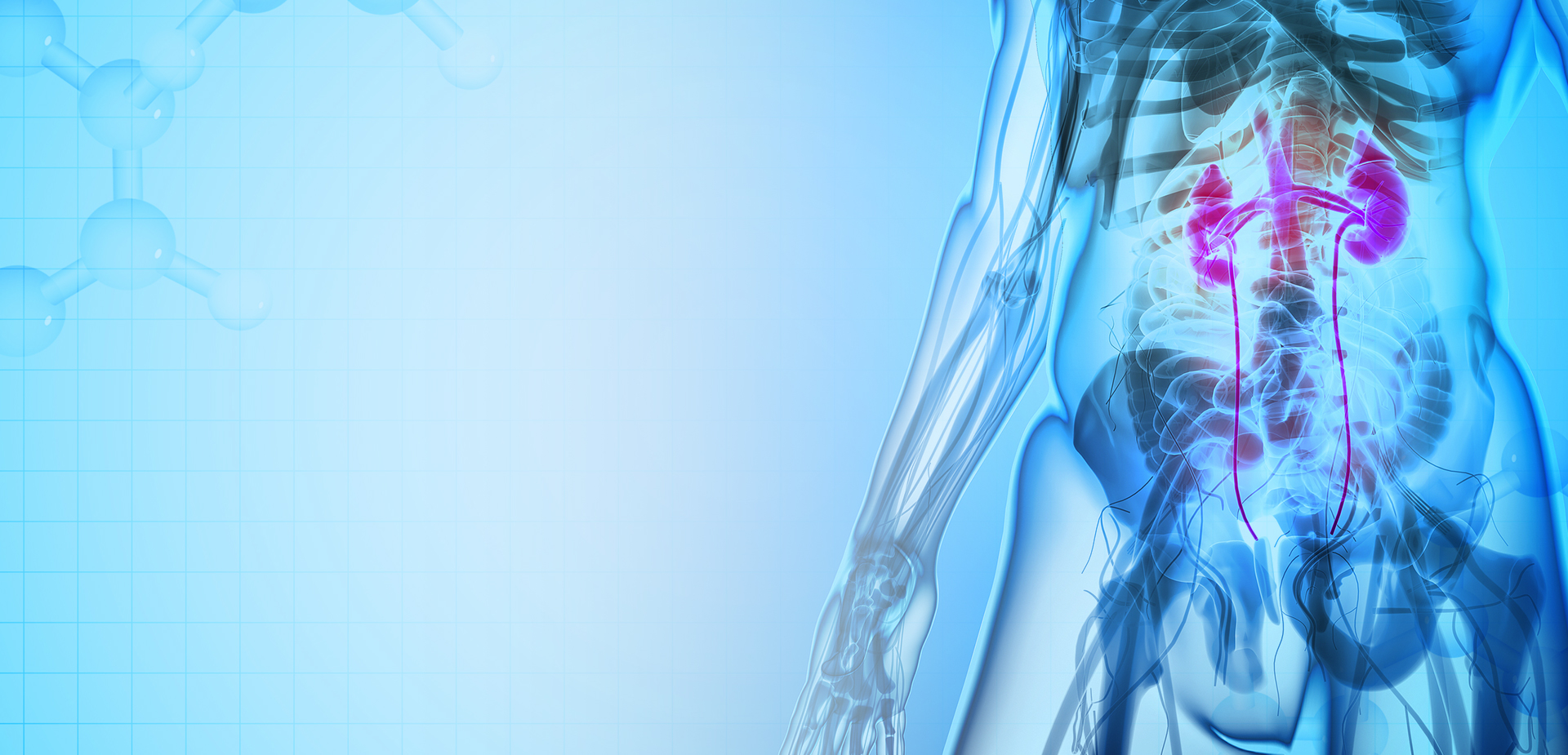 Ningbo Linstant Polymer Materials Co,. LTD.