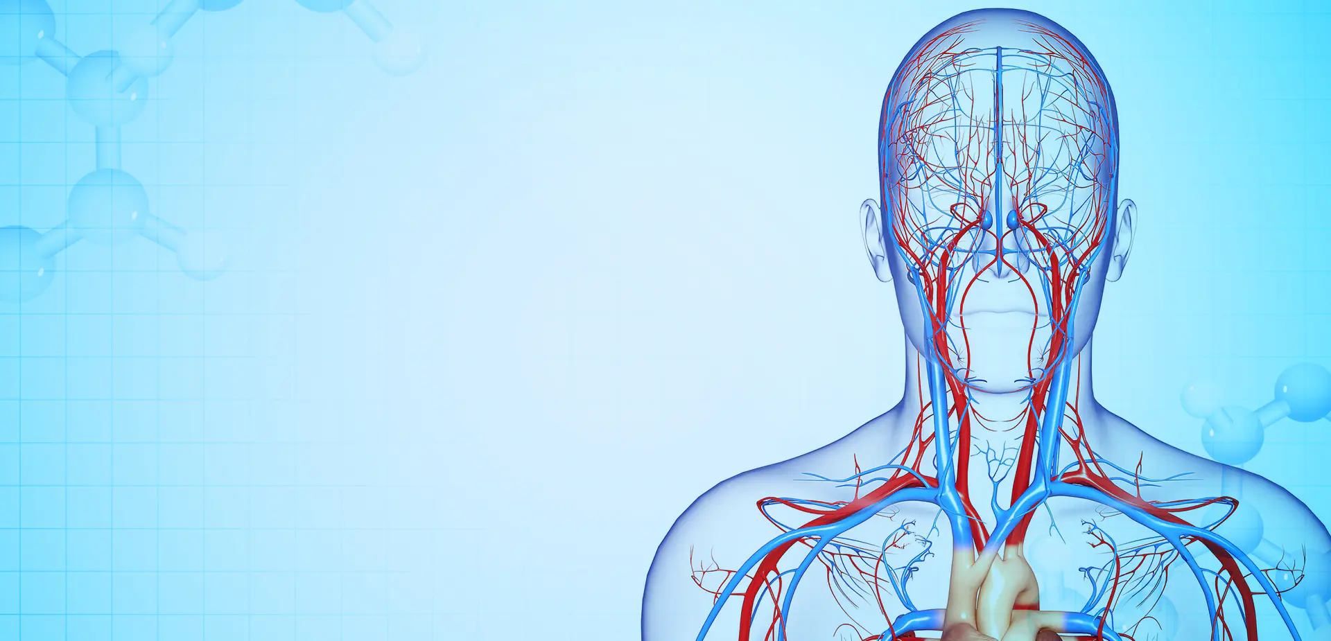 Ningbo Linstant Polymer Materials Co,. LTD.